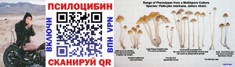 Галлюциногенные грибы ЛСД  Балей 